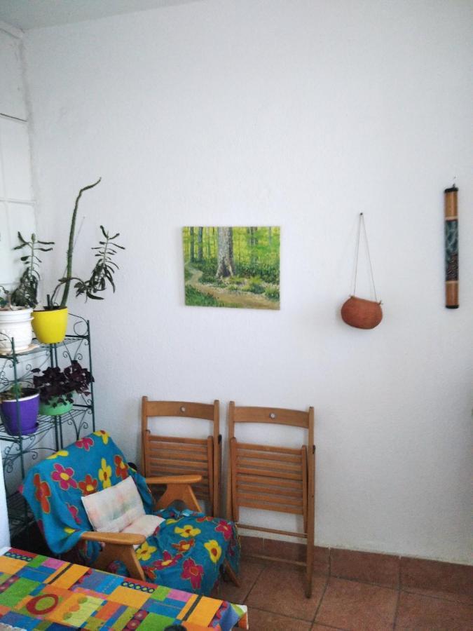 Apartament Viva