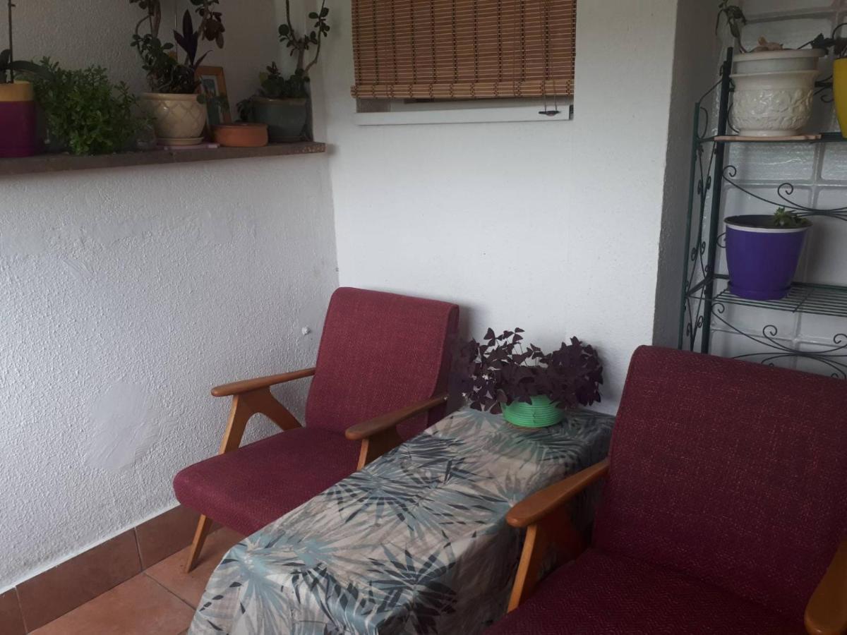 Apartament Viva Scopia
