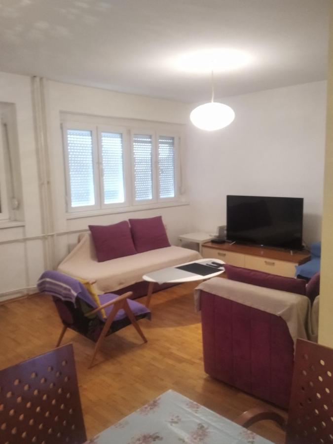 Viva Apartament